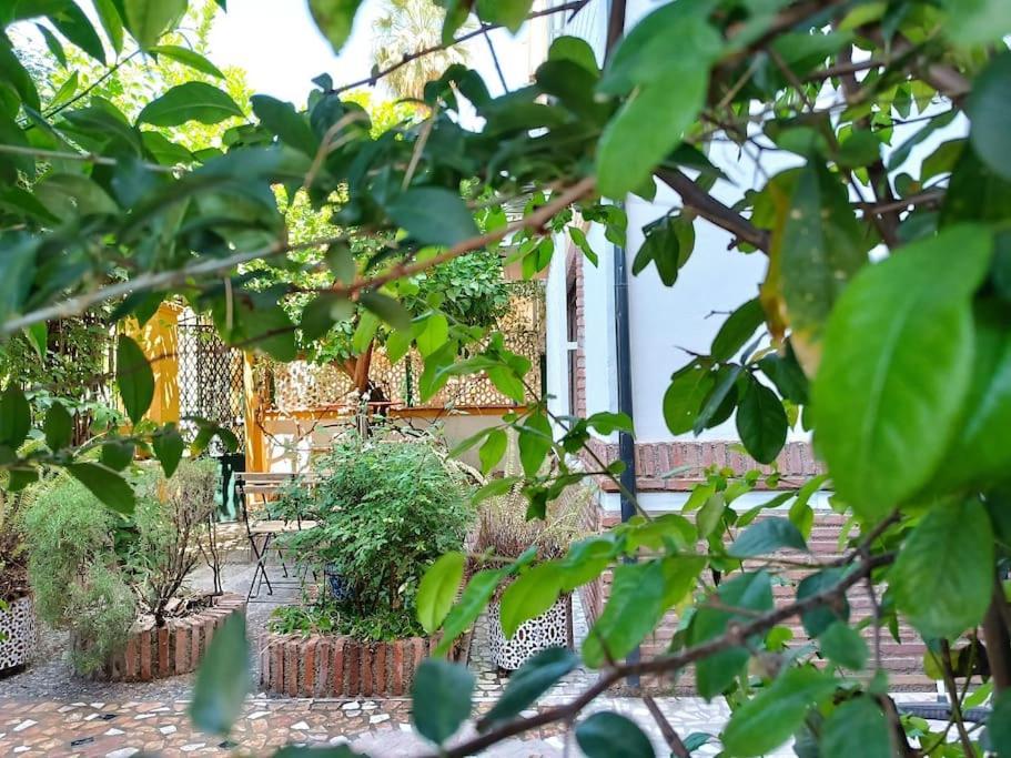 Casa Limonero Con Parking Gratis Junto A Centro Historico Βίλα Γρανάδα Εξωτερικό φωτογραφία