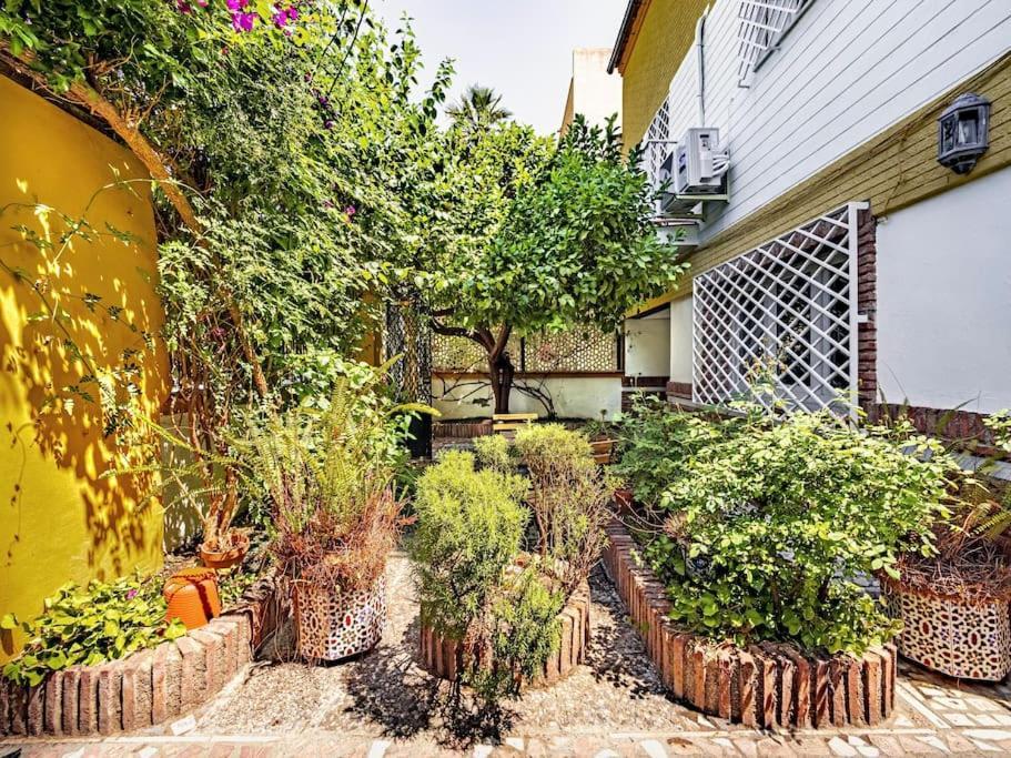 Casa Limonero Con Parking Gratis Junto A Centro Historico Βίλα Γρανάδα Εξωτερικό φωτογραφία