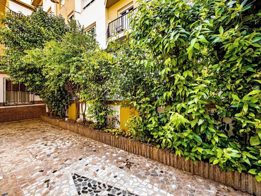 Casa Limonero Con Parking Gratis Junto A Centro Historico Βίλα Γρανάδα Εξωτερικό φωτογραφία