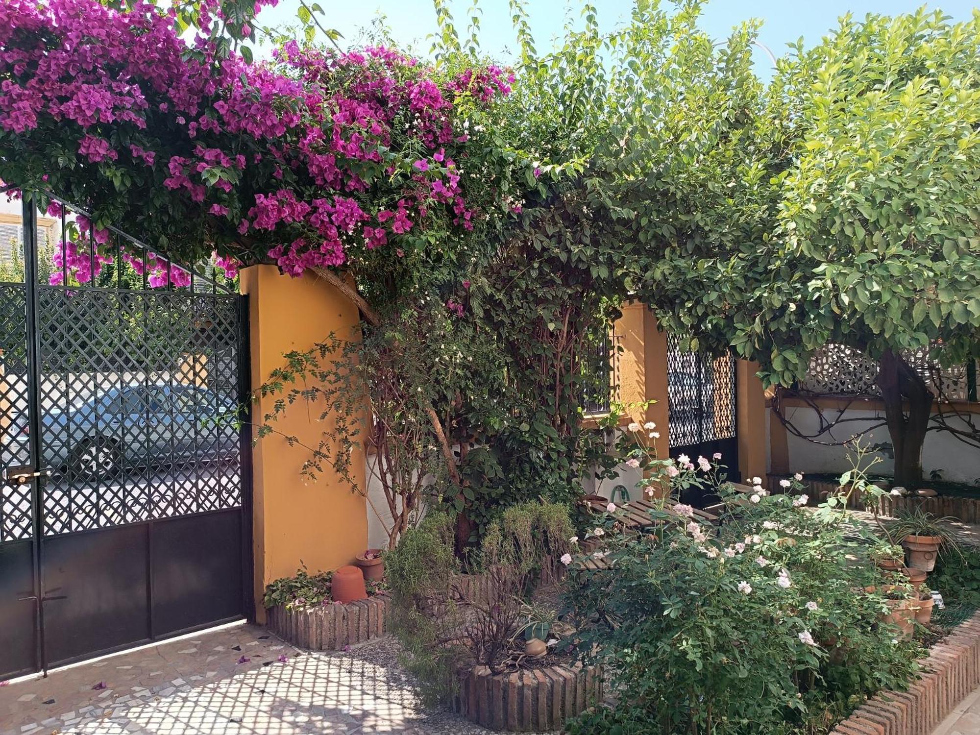 Casa Limonero Con Parking Gratis Junto A Centro Historico Βίλα Γρανάδα Εξωτερικό φωτογραφία